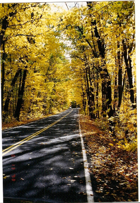 FallPhotos/Fallpicture.jpg